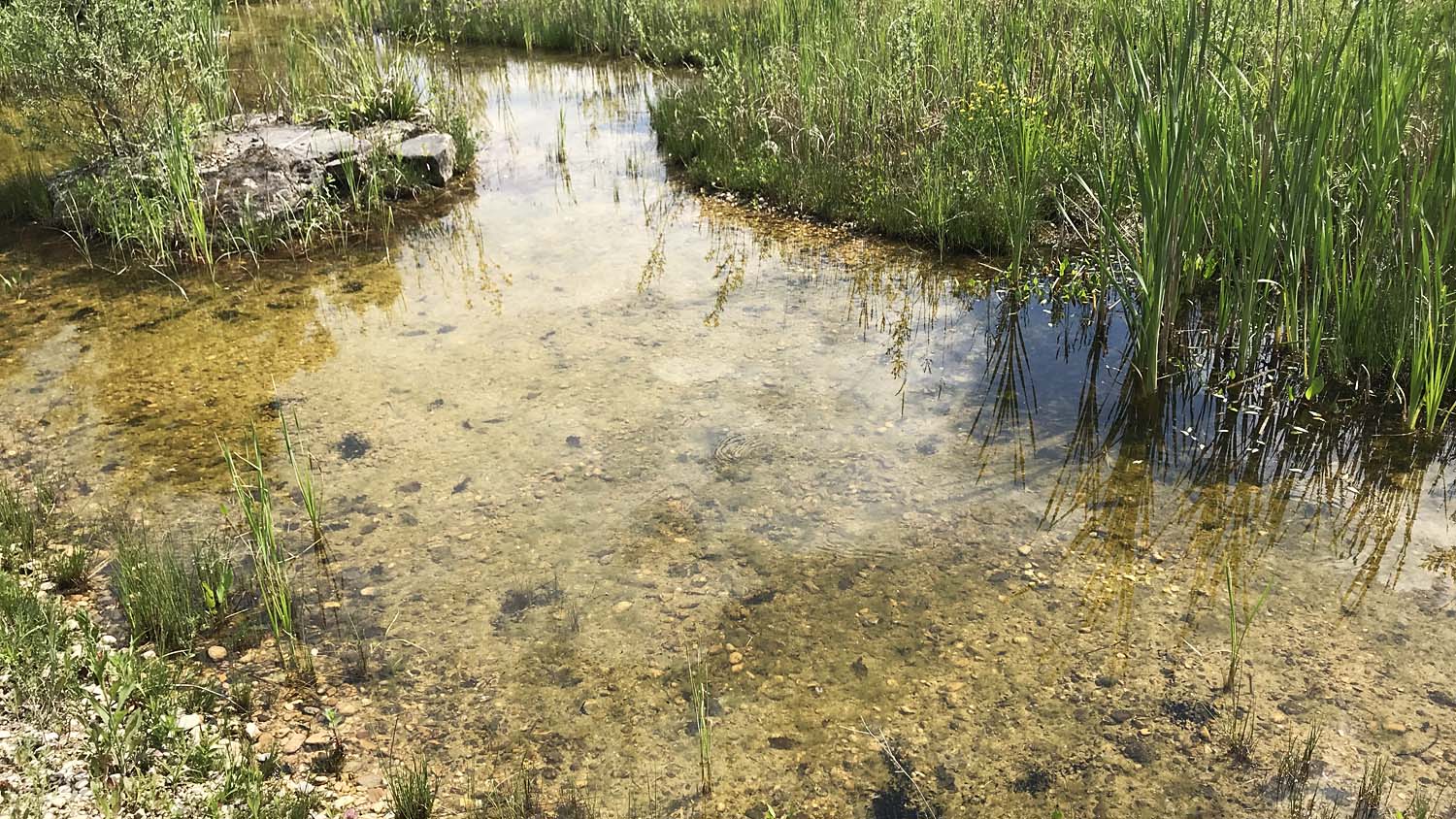 klingenthal pratteln