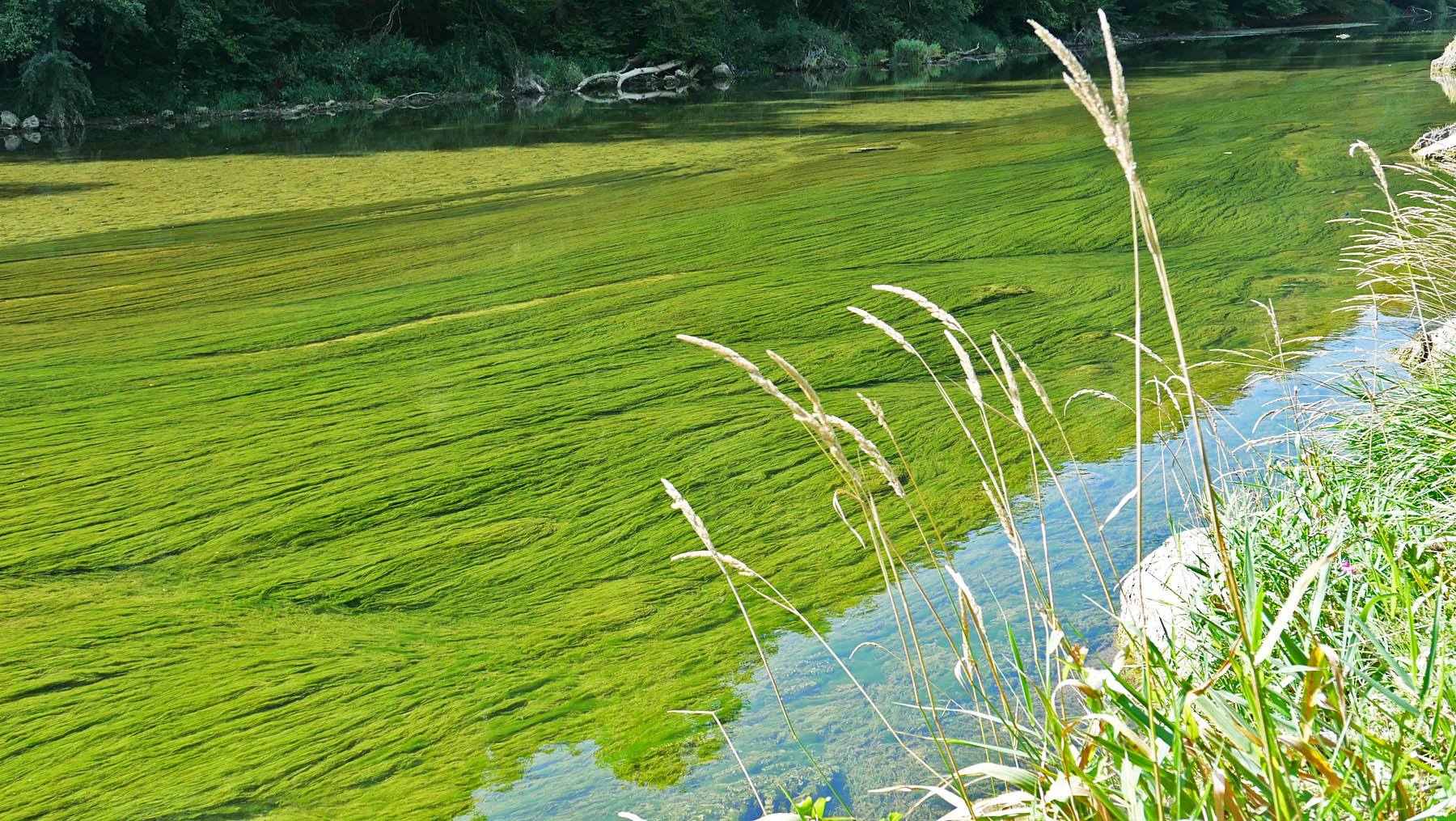 an den ufern des doubs