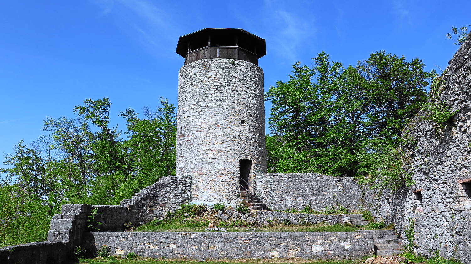 ruine wartenberg