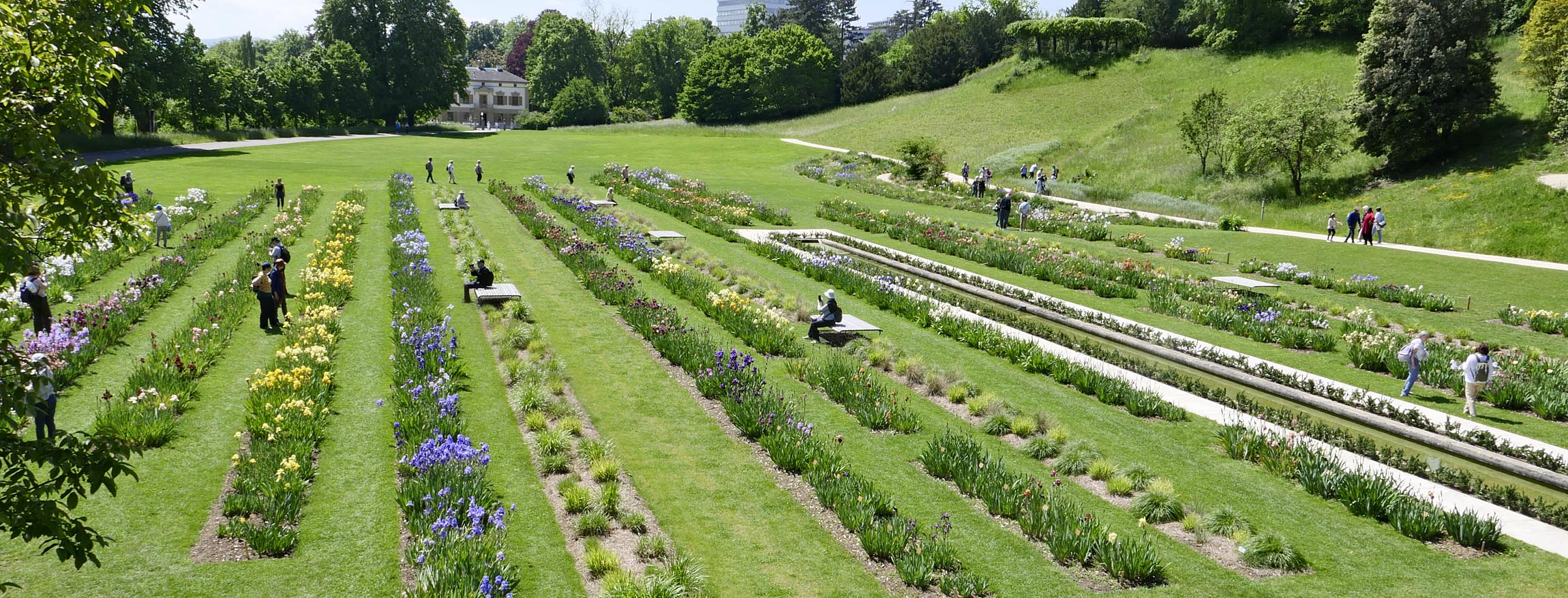 iris - die griechische göttin