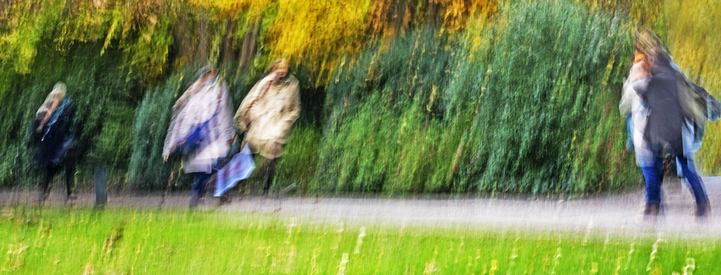 lichtspuren eines wanderers