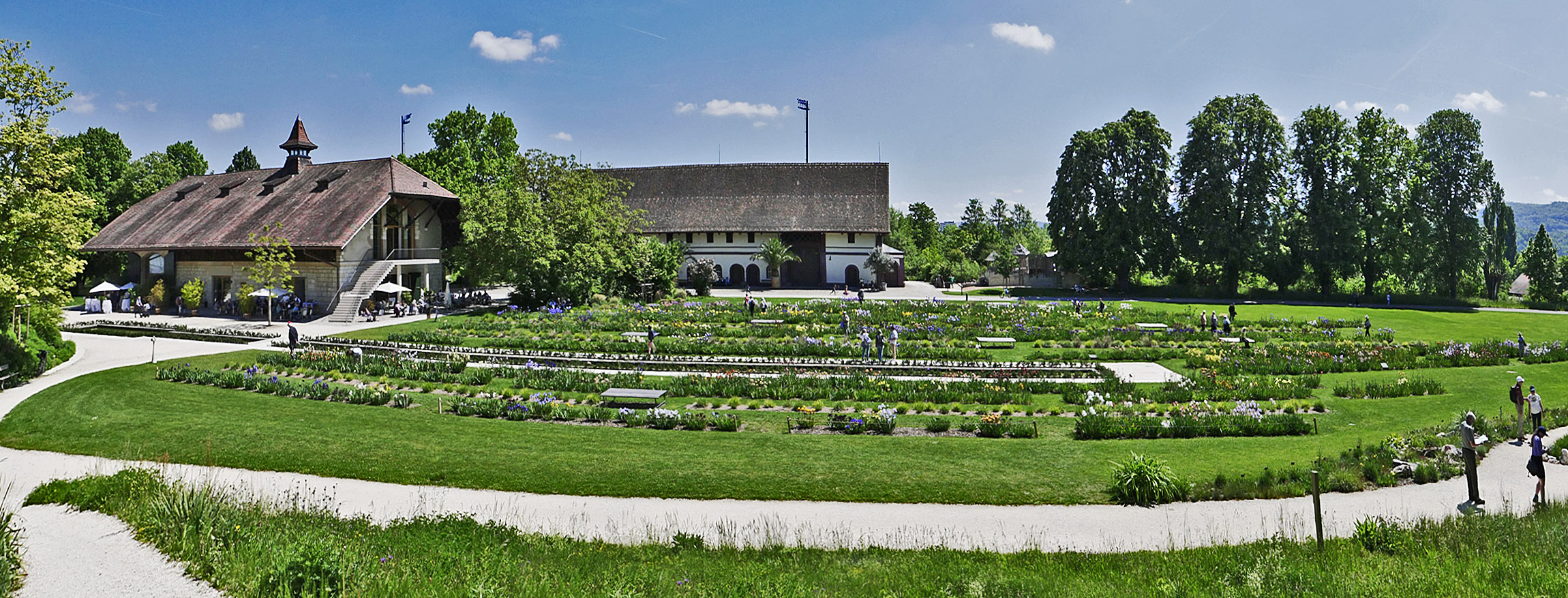 iris-die griechische göttin