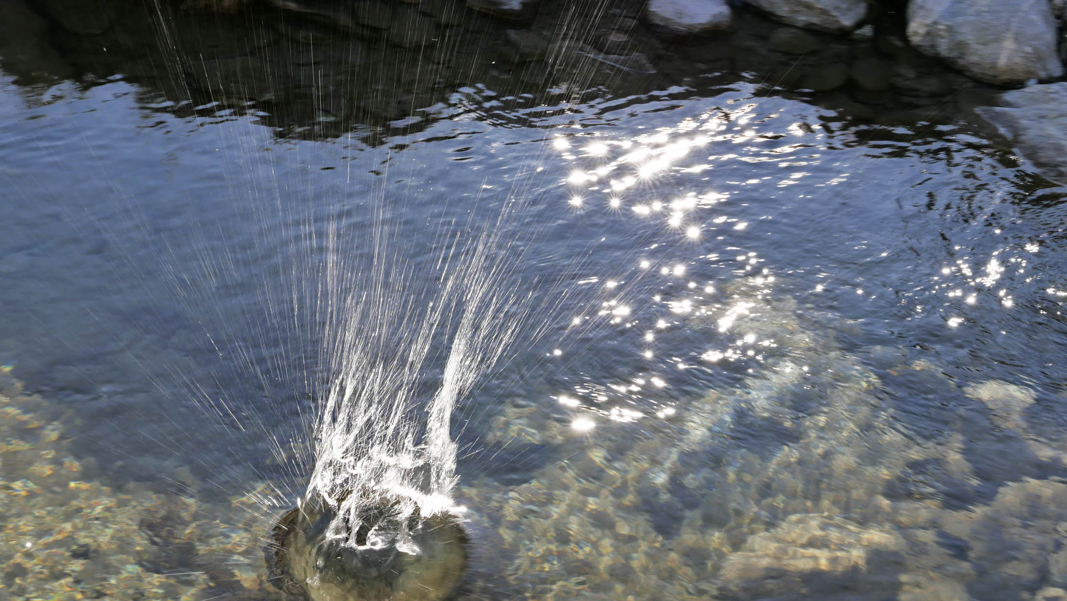 Ernst Suter - Wasser